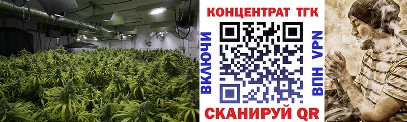 Купить закладки Ак-Довурак Дистиллят ТГК гашишное масло