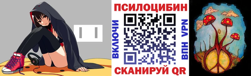 Купить  Ак-Довурак  Псилоцибиновые грибы Magic Shrooms 